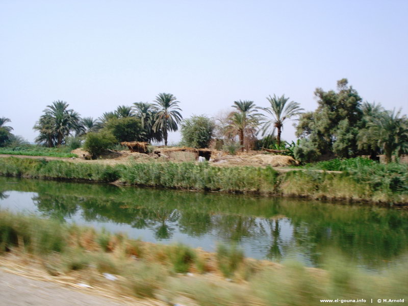 luxor tour 025